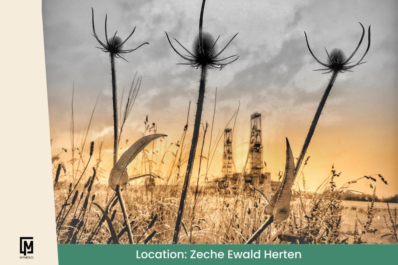 הרטן Glamping In Der Zeche Ewald Herten מראה חיצוני תמונה